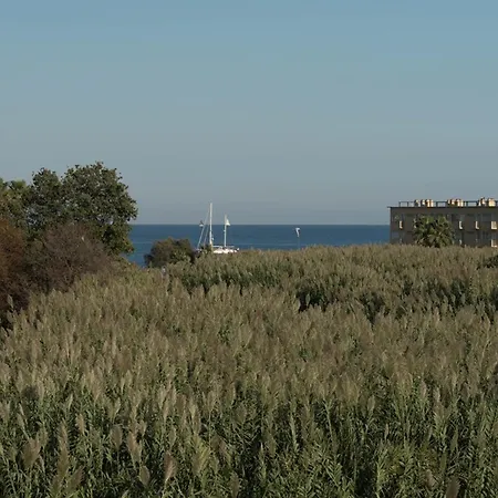 Deux Pieces Au Lavandou Avec Terrasse Spacieuse Et Parking - Fr-1-803-21 *