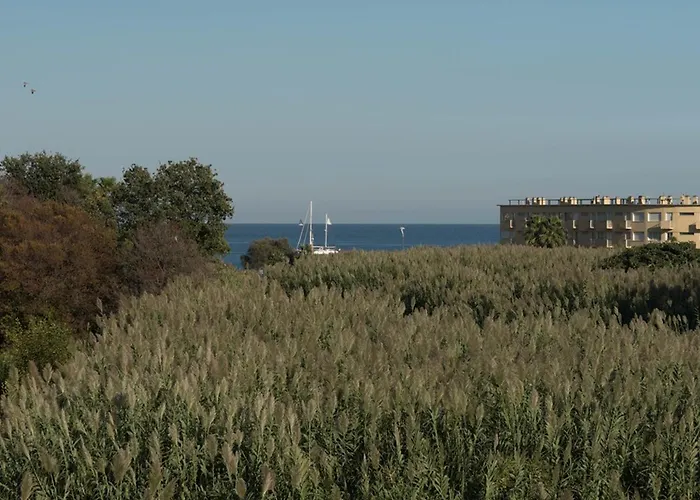 Deux Pieces Au Lavandou Avec Terrasse Spacieuse Et Parking - Fr-1-803-21 *