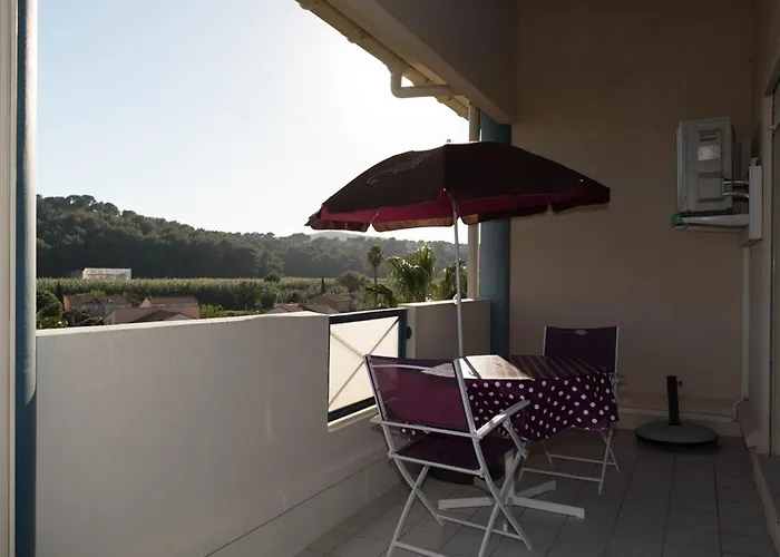 Deux Pieces Au Lavandou Avec Terrasse Spacieuse Et Parking - Fr-1-803-21 Apartment Le Lavandou