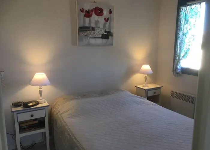 Deux Pieces Au Lavandou Avec Terrasse Spacieuse Et Parking - Fr-1-803-21 *